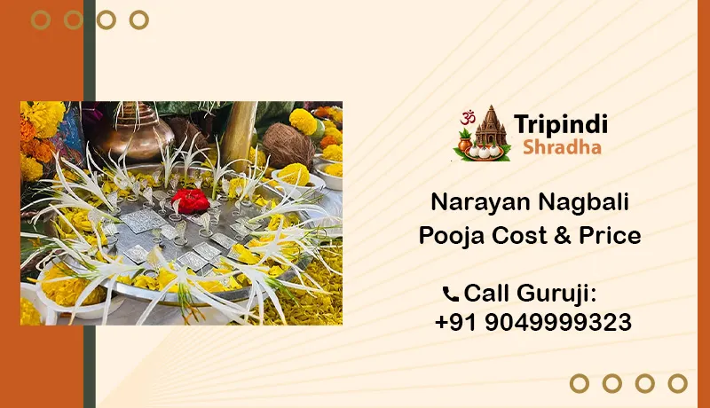 Narayan Nagbali Pooja Cost and Price
